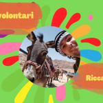 <strong>Volontario: Riccardo Stanchi</strong>